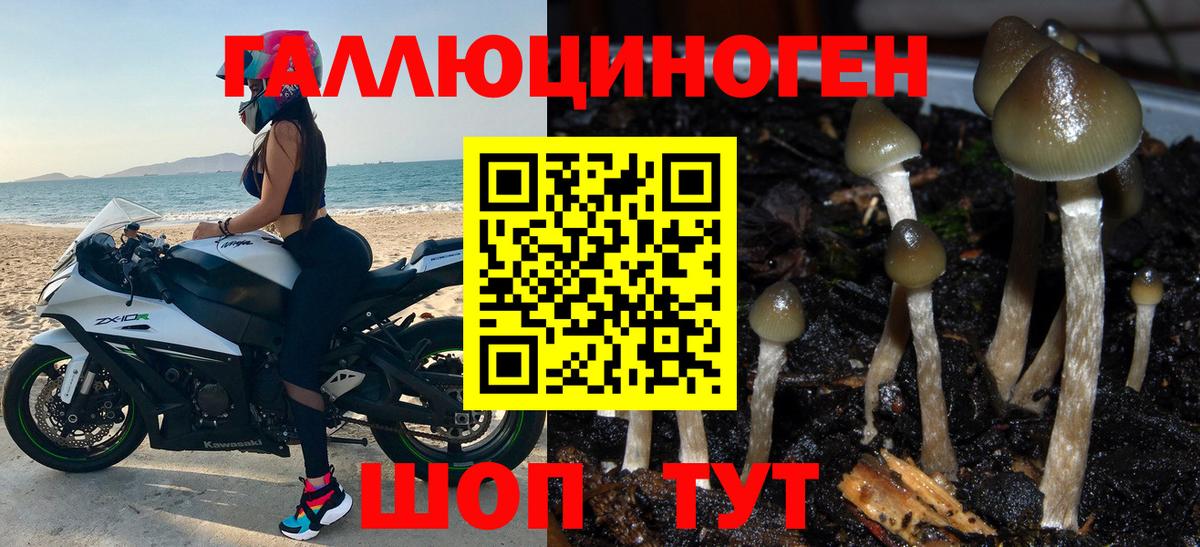 Видное  Псилоцибиновые грибы Magic Shrooms  Вход с VPN 